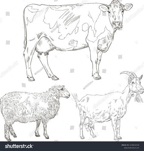 Farm Animals Isolated On White Background Stock Vector (Royalty Free) 2140632539 | Shutterstock