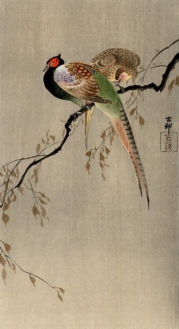 Stunning Japanese Pheasant Artwork By Ohara Koson