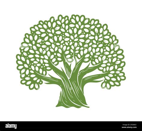 Tree Symbol Decorative Oak With Leaves Vector Illustration Stock