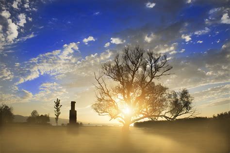 Free Images Landscape Tree Nature Horizon Light Cloud Sky Sun