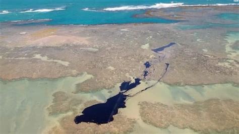 Os Danos Que O Vazamento De Leo No Mar Do Nordeste Pode Causar