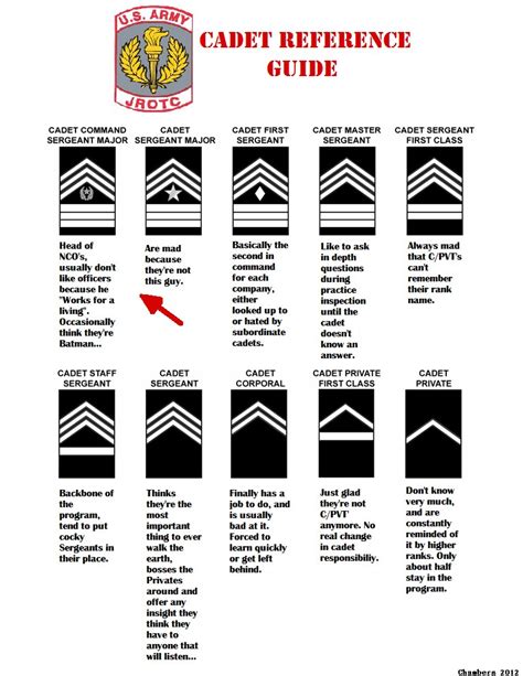 AJROTC Cadet Reference Guide #1 Enlisted Ranks [OC] : r/jrotc