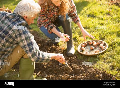 Mature Woman Digging Garden Hi Res Stock Photography And Images Alamy