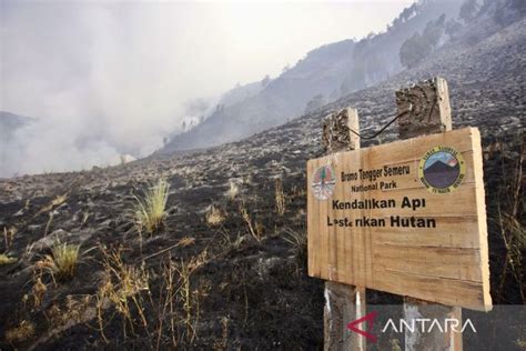 Kebakaran Sabana Di Gunung Bromo ANTARA News