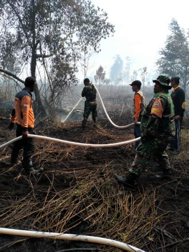 GoRiau Karhutla Di Kepulauan Meranti Hanguskan Sekitar 5 Hektare