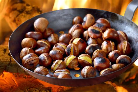 Chestnuts (Castagne) Roasting on an Open Fire | Italian Sons and Daughters of America