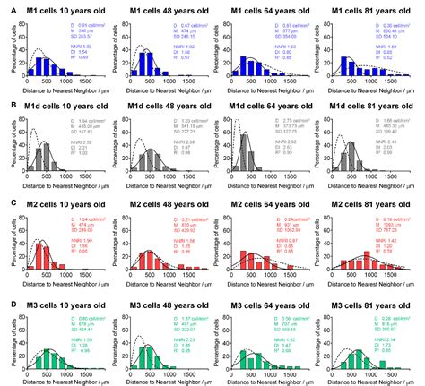 Figure 8 From Loss Of Melanopsin Expressing Ganglion Cell Subtypes And