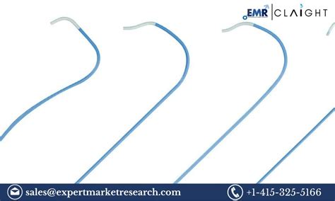 Global Diagnostic Catheters Market Size Share Price Trends Growth