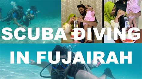 Scuba Diving I Fujairah I Uae I Barracuda Diving Center Youtube