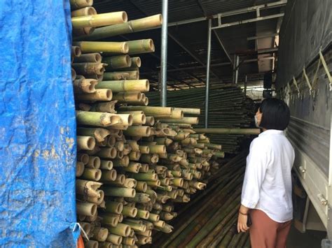 Viện Issq đánh Giá Chứng Nhận Iso 9001 đối Với Công Ty Tnhh Sản Xuất Và