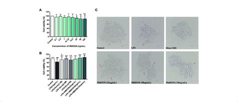 Hm Improves Cell Viability In Lps Induced Raw Cells A The