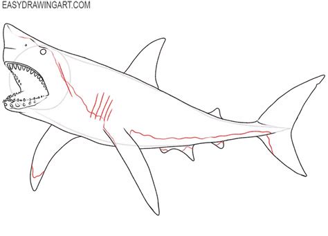 How To Draw A Megalodon Easy Drawing Art