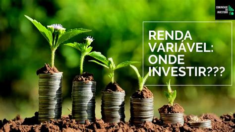 Renda Variável Por Onde Começar Veja Qual O Melhor Investimento Para Iniciar No Mercado De