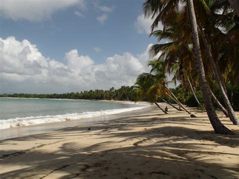 Plage Des Salines Martinique Photos Dsullana