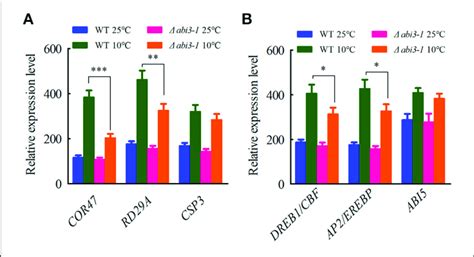 Cold Responsive Genes Are Regulated By Ppabi3 During Cold