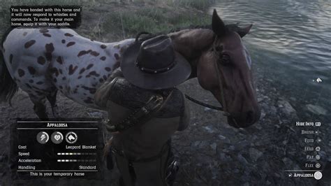 Red Dead Redemption 2 Taming The Leopard Blanket Appaloosa Horse