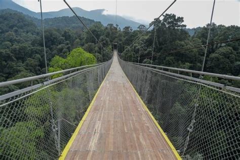 Keren Jabar Punya Jembatan Gantung Terpanjang Di Dunia Kilas