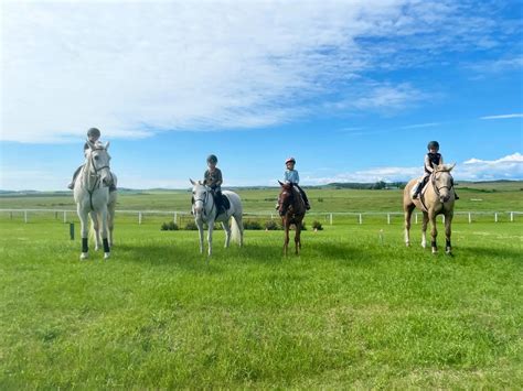 Teesdale Equestrian Centre