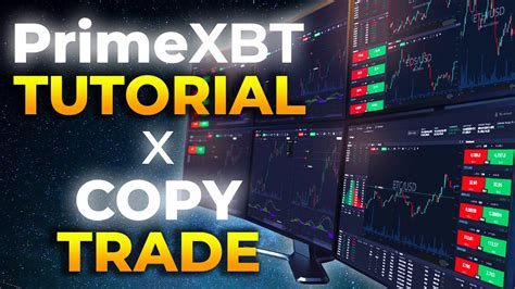 Primexbt Trading Tutorial Copy Trade Expert Traders With Primexbt