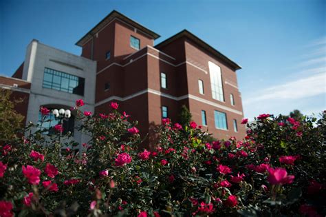 National Library Week | Mississippi State University