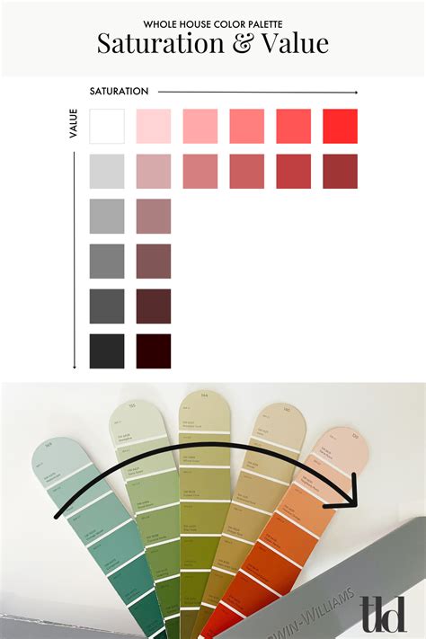 4 Steps To Create A Whole House Color Palette Artofit