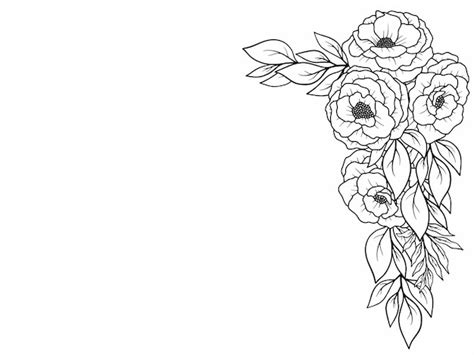 Illustration De La Bordure De La Fleur De Rose En Contour Vecteur Premium