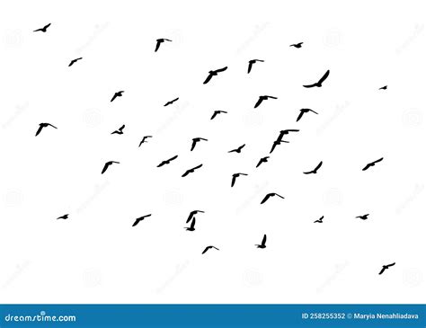 A Flock Of Flying Birds Free Birds Vector Illustration Stock Vector