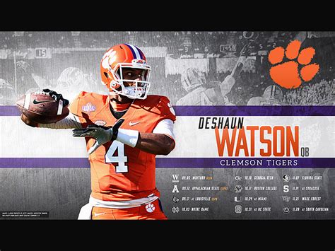 Clemson designs, themes, templates and downloadable graphic elements on ...