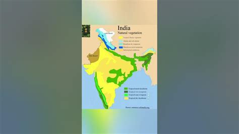 Natural Vegetation Of India In Map Youtube