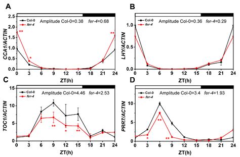 Receptor Kinase Feronia Regulates Flowering Time In Arabidopsis