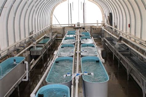 Fabric Structures For Fisheries Alaska Structures