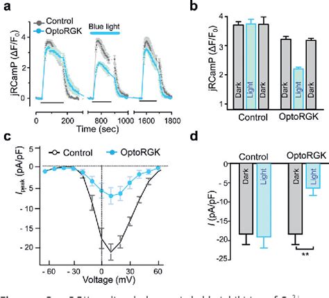 Figure 2 From Optogenetic Control Of Voltage Gated Calcium Channels