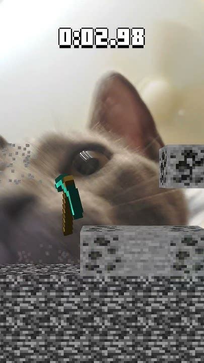 I Got My Cat To Play Minecraft Rush Minecraft15 Minecraft Youtube