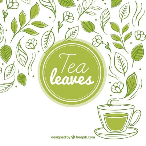 Tea Leaf Vector Free Download