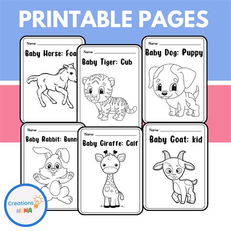 Baby Animals Coloring Pages | Made By Teachers