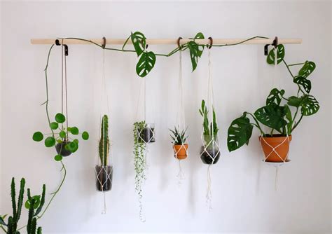 21 Fresh And Peaceful Wall Decor With The Indoor Hanging Plants Talkdecor