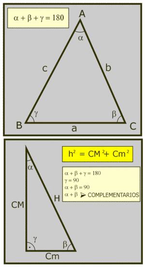 Caracteristicas Principales Del Triangulo XIli