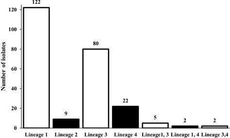 Lineage Classification And Antitubercular Drug Resistance Surveillance