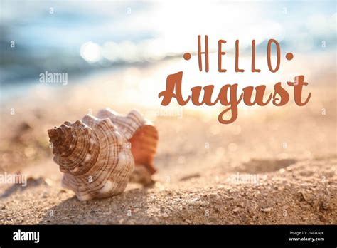 Hello August Beautiful Seashell On Sandy Beach Stock Photo Alamy