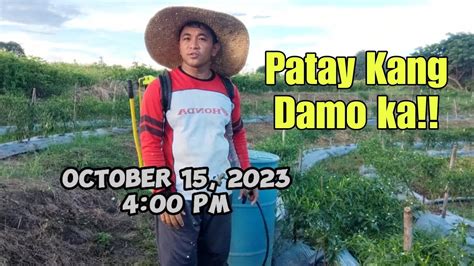 Pamatay Damo Systemic Herbicide Clear Out Youtube