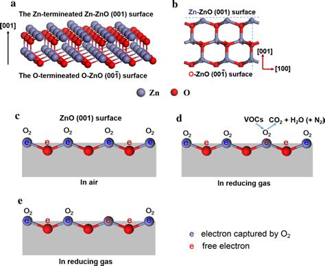 A Schematic Diagram Of The Zno Facet Structure B Atom