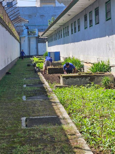 Peran Pertanian Dalam Pembinaan Narapidana Lapas Magelang Kumparan