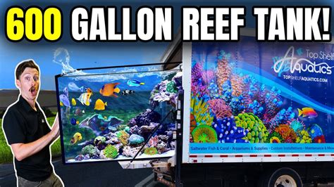 Epic 600 Gallon Custom Reef Aquarium Install Youtube