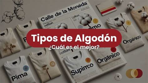 El Impacto Positivo De Las Telas Sostenibles En La Moda Actualizado