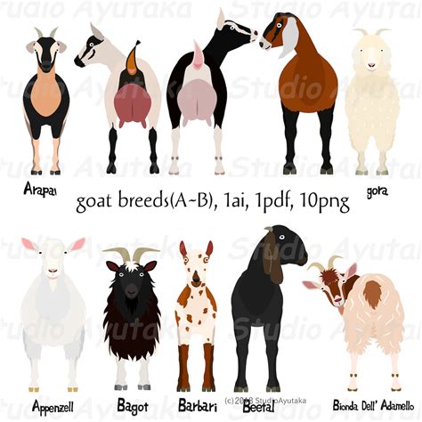 goat breeds ab bundle ai  png etsy