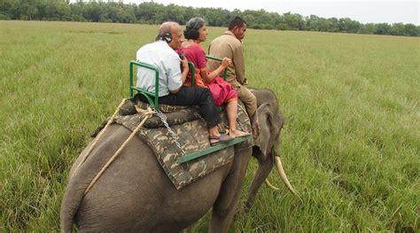 Elephant Safari Kaziranga Kaziranga National Park And Tiger Reserve ~ Tour Packages And Safari