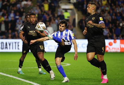 report sheffield wednesday  talks  sign  loan man