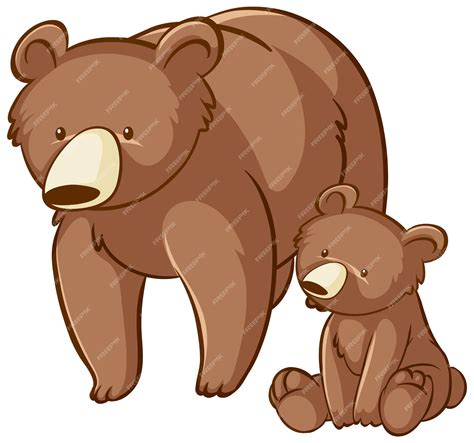 Oso Animado
