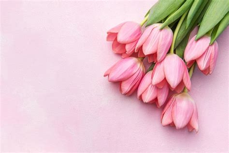 Premium Photo | Bouquet of pink tulips on pink background