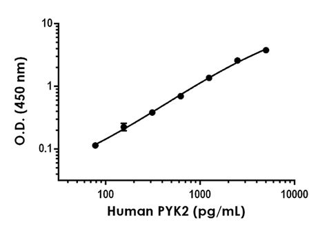 Human PYK2 Antibody Pair BSA And Azide Free Ab244031 Abcam